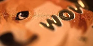 Why Accept Payments in DOGE